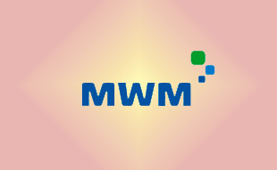 ✓ MWM �����������������������������������������������������������  